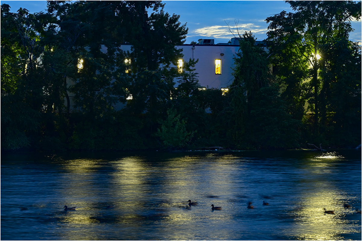 Yakubova Valentina Ducks At Dusk AssignedSubject   Motion Photography 20251008